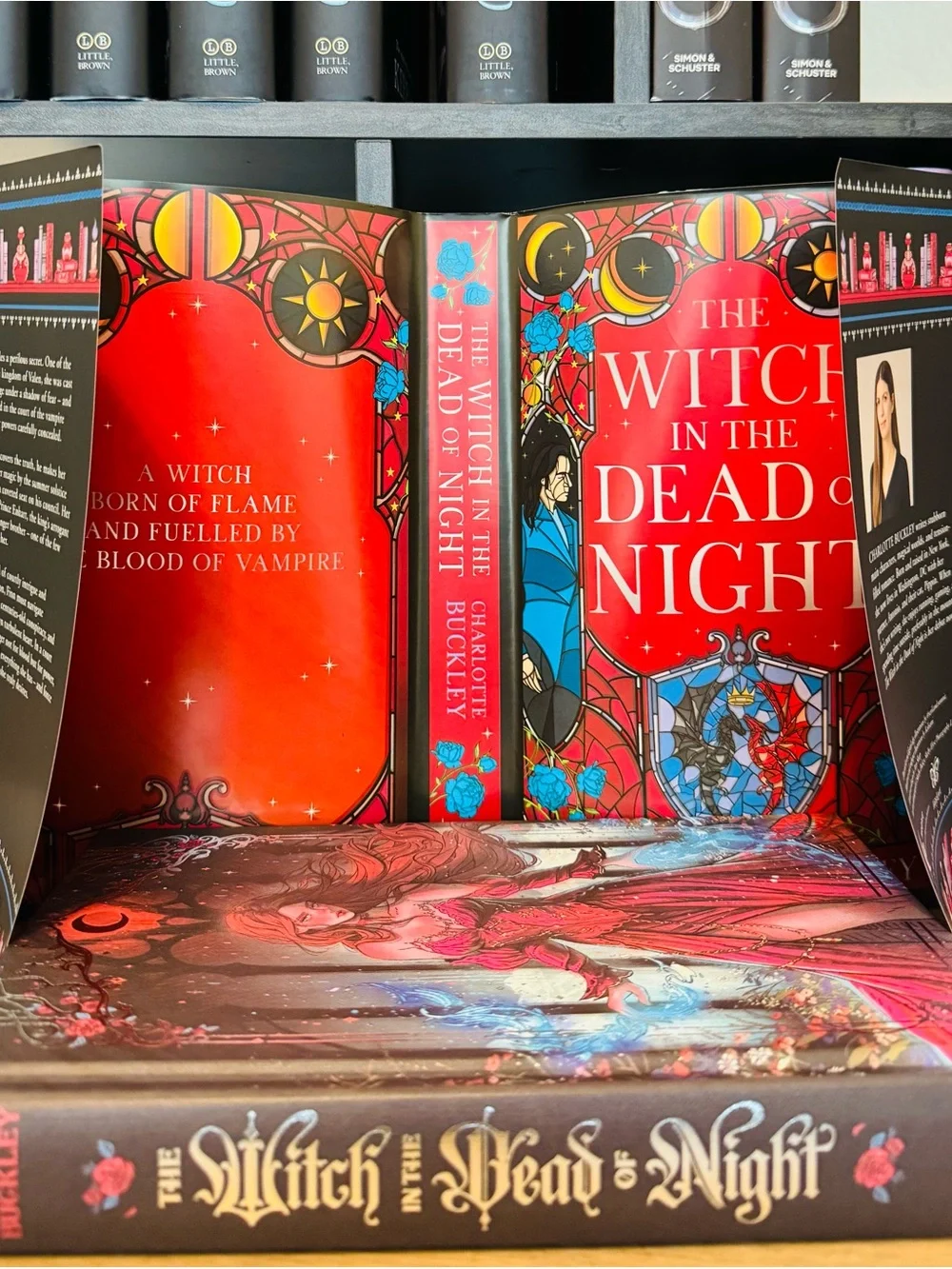 Fairyloot Exclusive The Witch in the Dead of Night by Charlotte Buckley